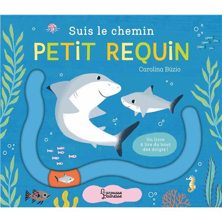 Suis le chemin petit requin