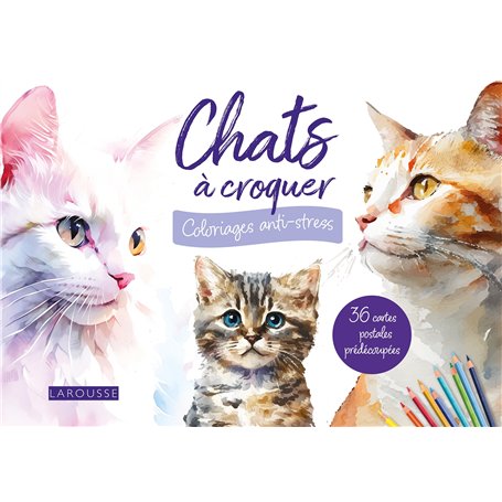 Cartes postales à colorier : Chats à croquer