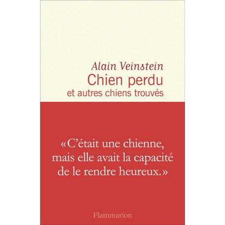 Chien perdu et autres chiens trouvés