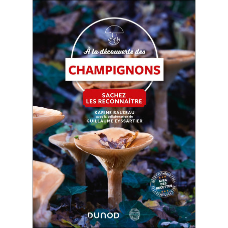 A la découverte des champignons
