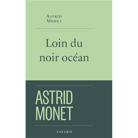 Loin du noir océan 20,06 €