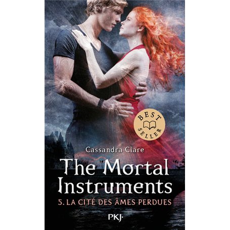 The Mortal Instruments - Tome 5 La Cité des âmes perdues