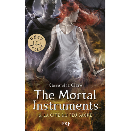 The Mortal Instruments Tome 6 : La cité du feu sacré