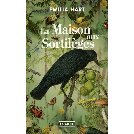 La Maison aux sortilèges