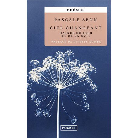 Ciel changeant - Haïkus du jour et de la nuit