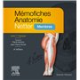 Mémofiches Anatomie Netter - Membres