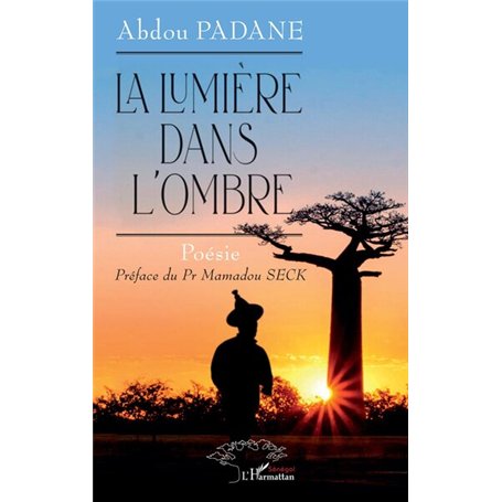 La lumière dans l’ombre