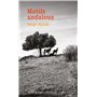 Motifs andalous