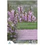 Plantes de Méditerranée 47,95 €