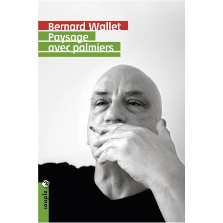 Paysage avec palmiers