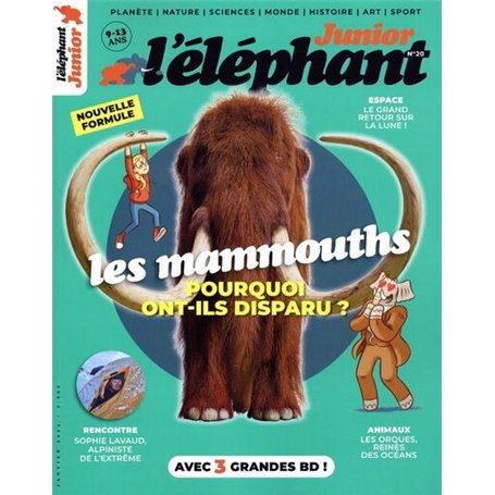 Elephant Junior - N° 20