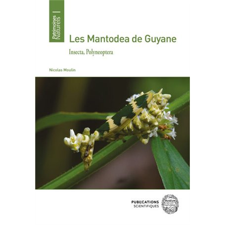 Les Mantodea de Guyane