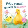 Petit poussin cherche sa maman