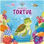 La Petite tortue