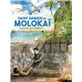 Saint Damien de Molokaï