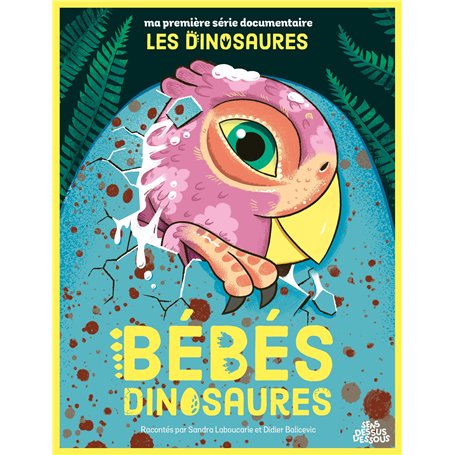 Bébés dinosaures 9,69 €