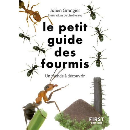 Le Petit guide des fourmis