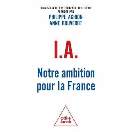 IA : Notre ambition pour la France