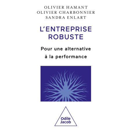 L'Entreprise robuste