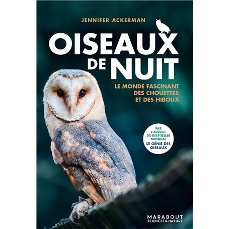Oiseaux de nuit