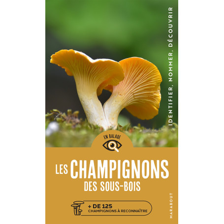 En balade - Les champignons des sous bois