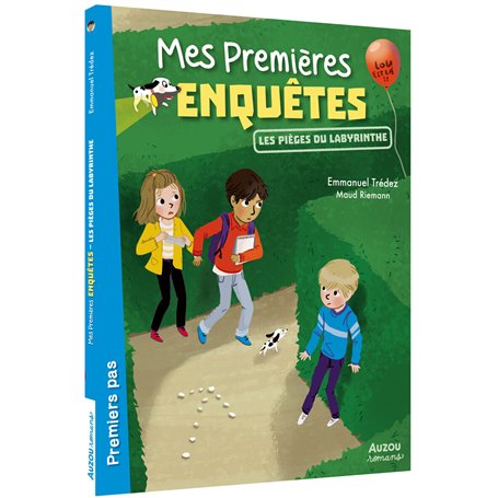 Une éclatante malédiction - BROCHE