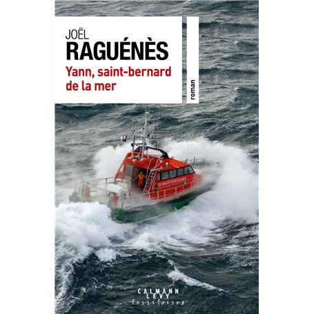 Yann, saint-bernard de la mer 20,06 €