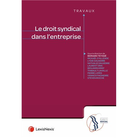 Droit syndical dans l'entreprise 41,10 €