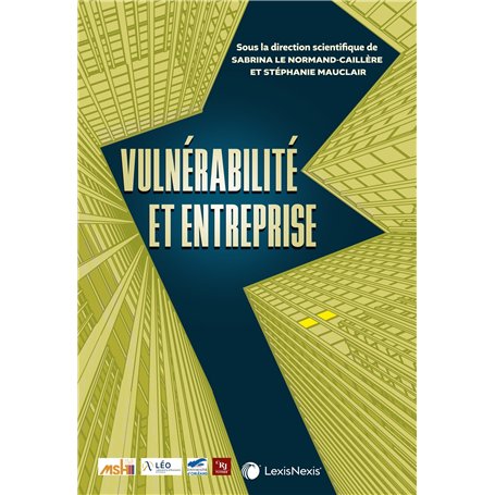 Vulnérabilité et entreprise