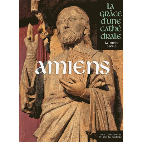 Amiens, la Grâce d'une Cathédrale 83,17 €