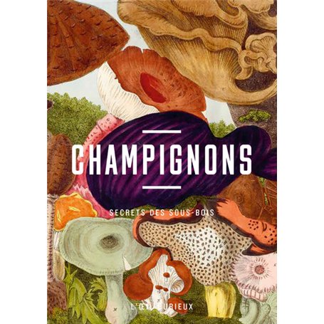 Champignons - Secrets des sous-bois
