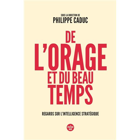 De l'orage et du beau temps - Regards sur l'intelligence stratégique