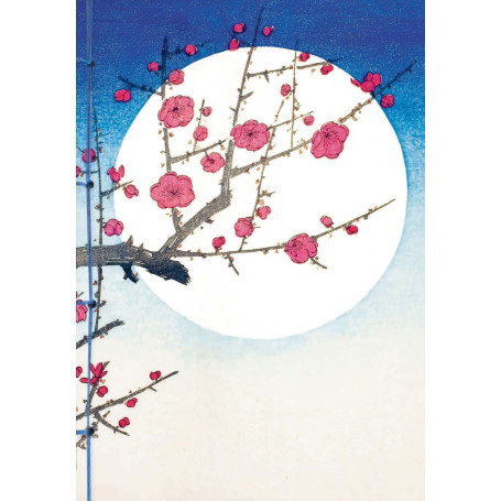 Carnet Hazan gaufré Lune 18 x 26 cm (papeterie)