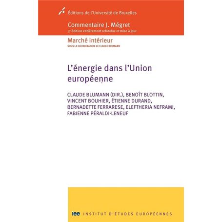 L'énergie dans l'Union européenne 92,95 €