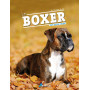 Le boxer 15,56 €