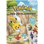 Pokémon - Mes décalcomanies