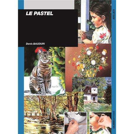 PASTEL 17,12 €