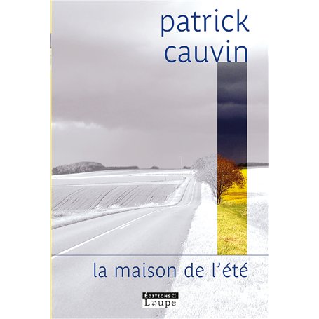 La maison de l'été 20,45 €