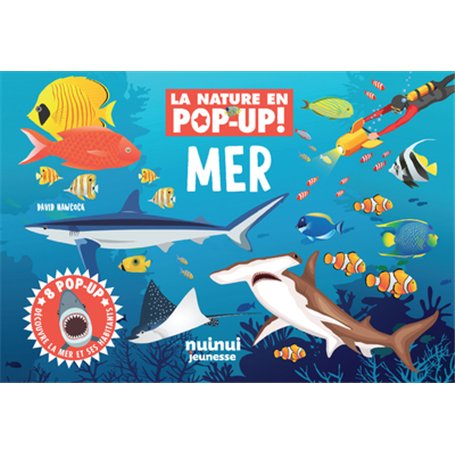 La nature en pop-up - Mer