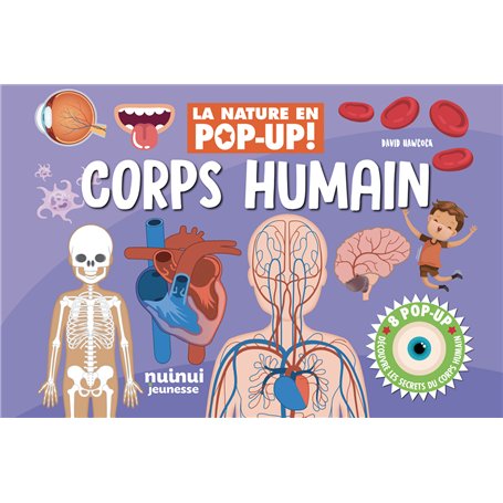 La nature en pop-up - Corps humain