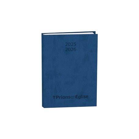 Search and find - Dinosaurs