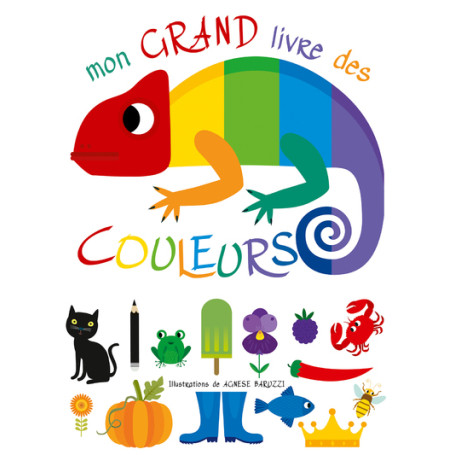 Mon grand livre des couleurs 12,62 €