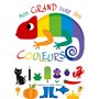 Mon grand livre des couleurs 12,62 €