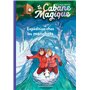 La cabane magique, Tome 35 6,75 €