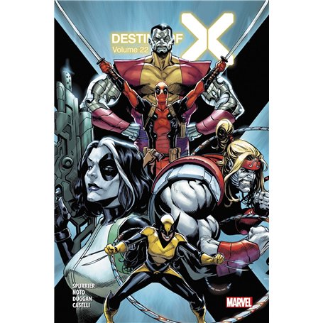 Destiny of X T22 (Edition collector) - COMPTE FERME 21,53 €