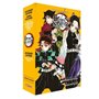 Coffret Demon Slayer T15 + Roman jeunesse T06