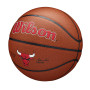 Wilson NBA Team Alliance BSKT