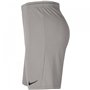 Short de Sport pour Enfants Nike DRI FIT PARK III BV6865 017 Gris