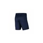 Short de Sport pour Enfants Nike DRI FIT PARK III BV6865 410 Blue marine