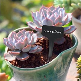 Jurassic World Therizinosaurus Slash ’N Roar avec fonction d’attaque sonore, jeu numérique